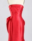 Britney strapless ruffle back trim