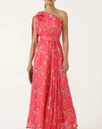 FRANCESCA MAXI DRESS