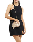 INDI ACRYLIC SHELL CLUTCH
