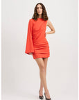 PALMIRA SINGLE SLEEVE MINI DRESS