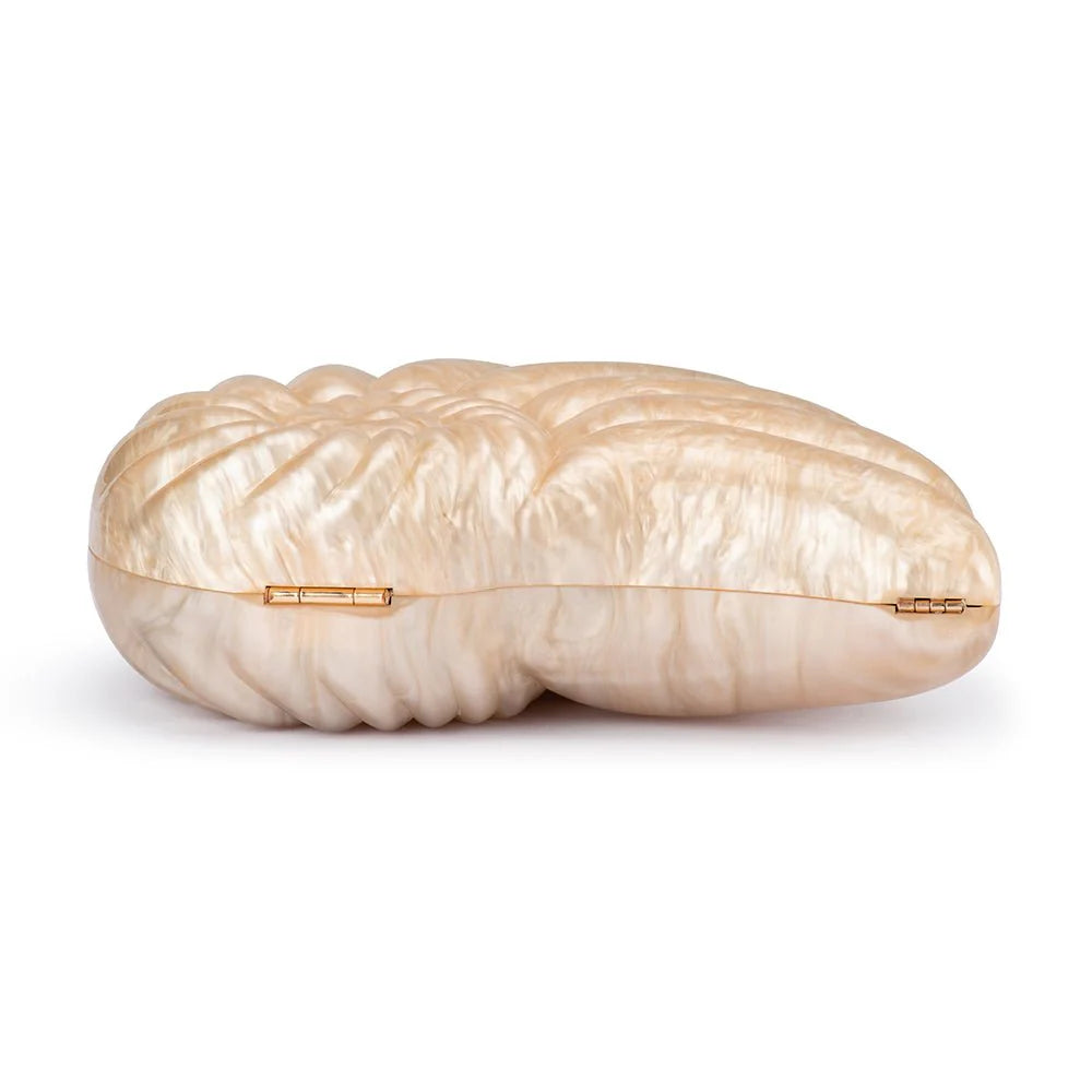 INDI ACRYLIC SHELL CLUTCH