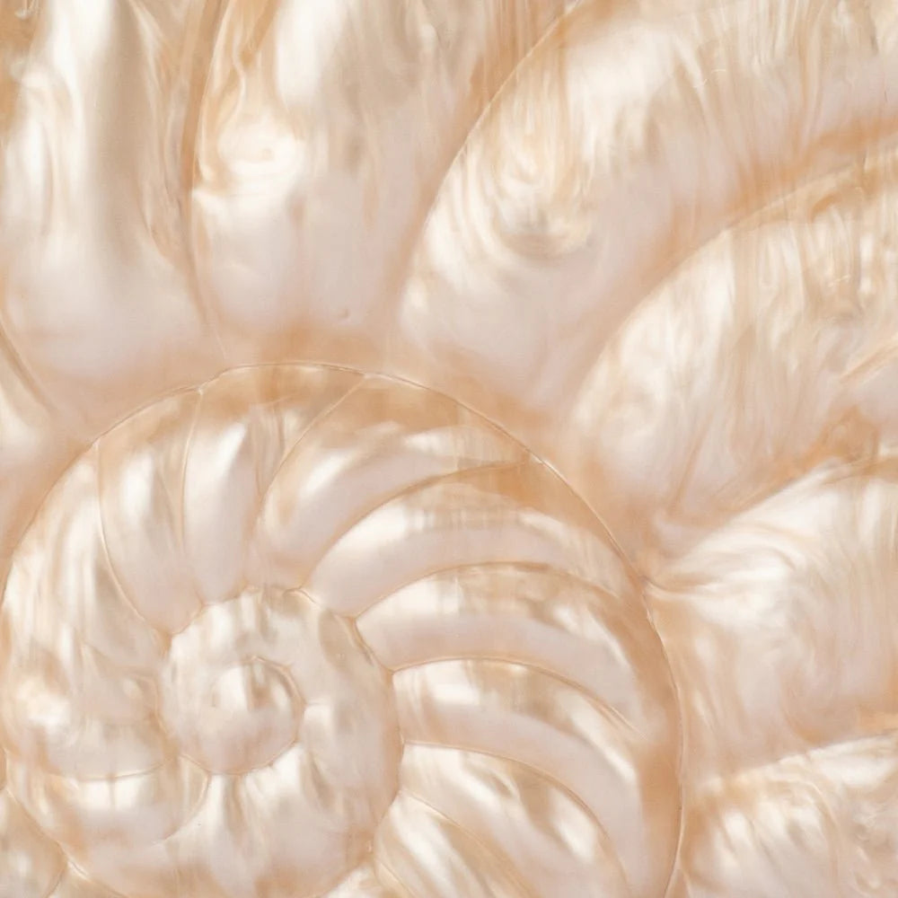 INDI ACRYLIC SHELL CLUTCH