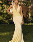 T720 gown