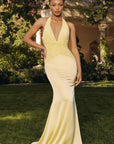 T720 gown