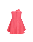 Camellia Mini Dress